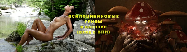spice Медвежьегорск